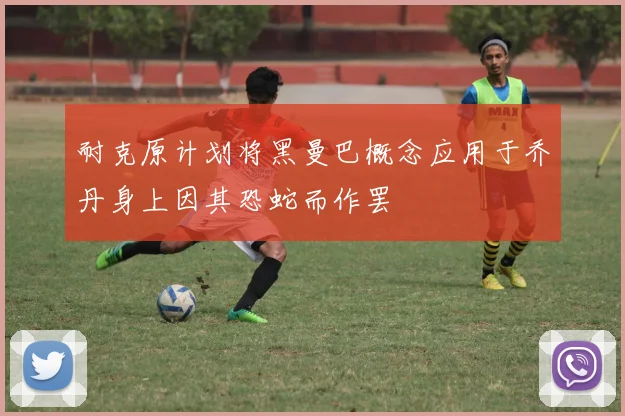 耐克原计划将黑曼巴概念应用于乔丹身上因其恐蛇而作罢