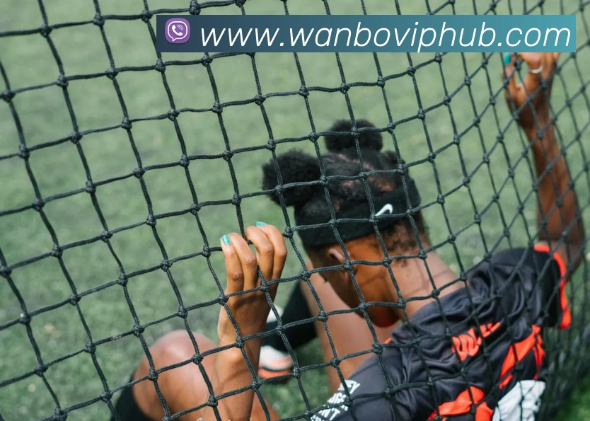 万博体育发展历程